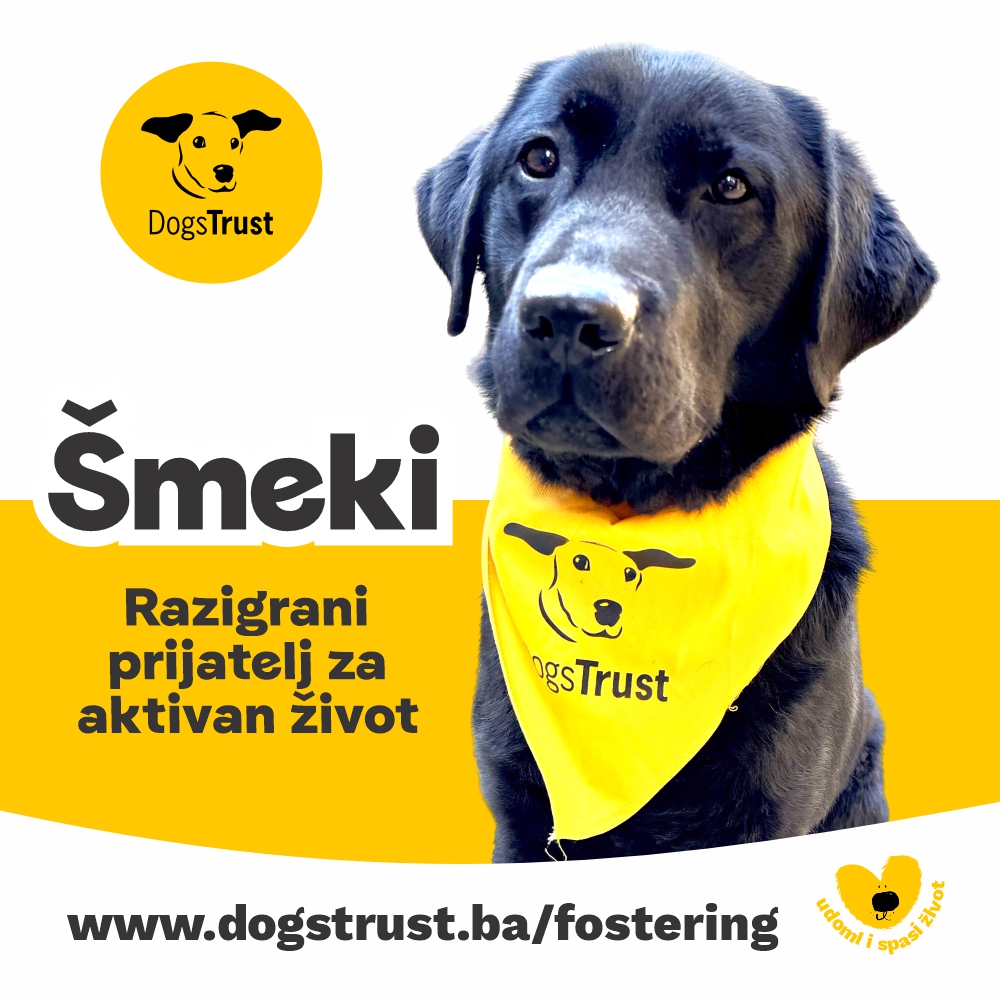 Smeki