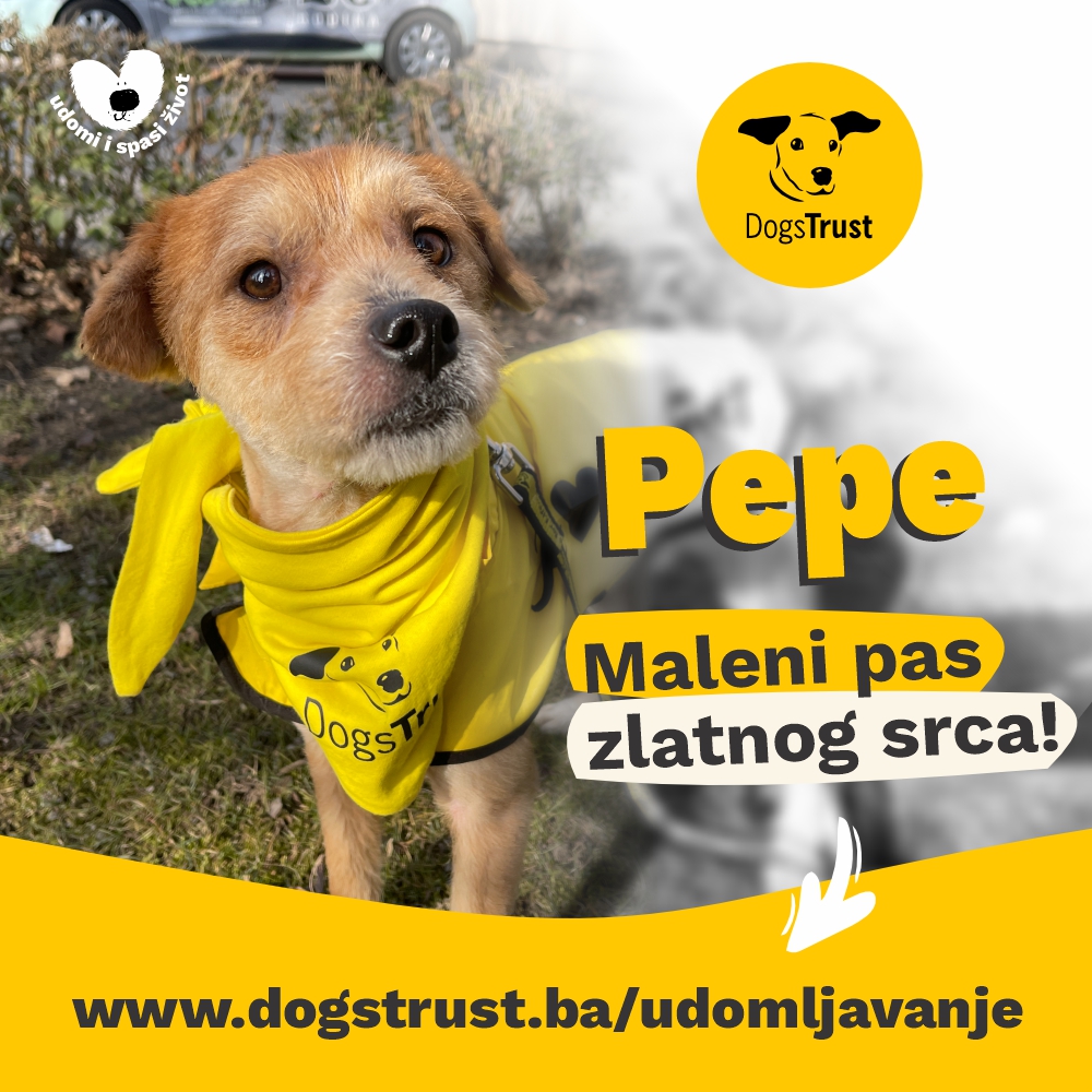 PEPE