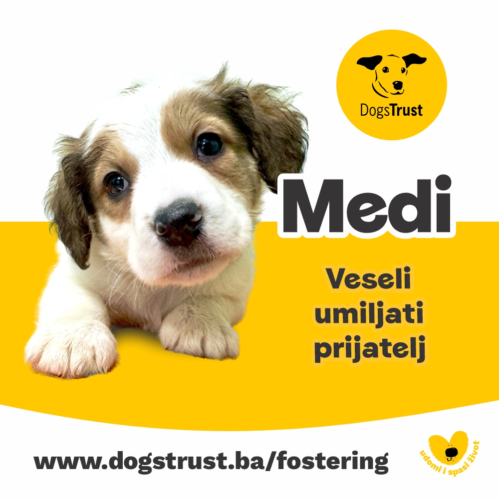 Medi