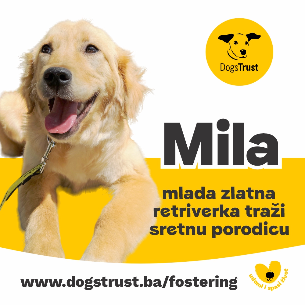 Mila
