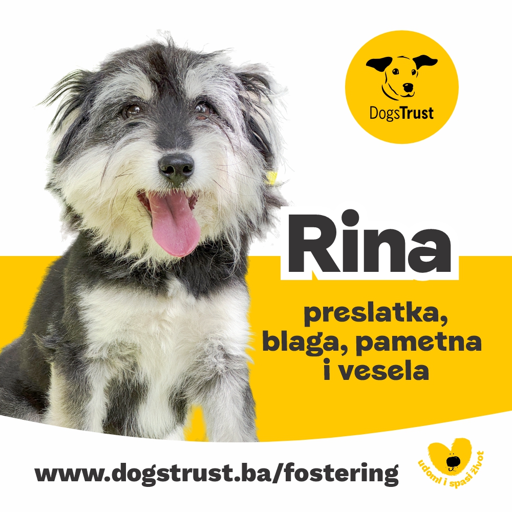 Rina