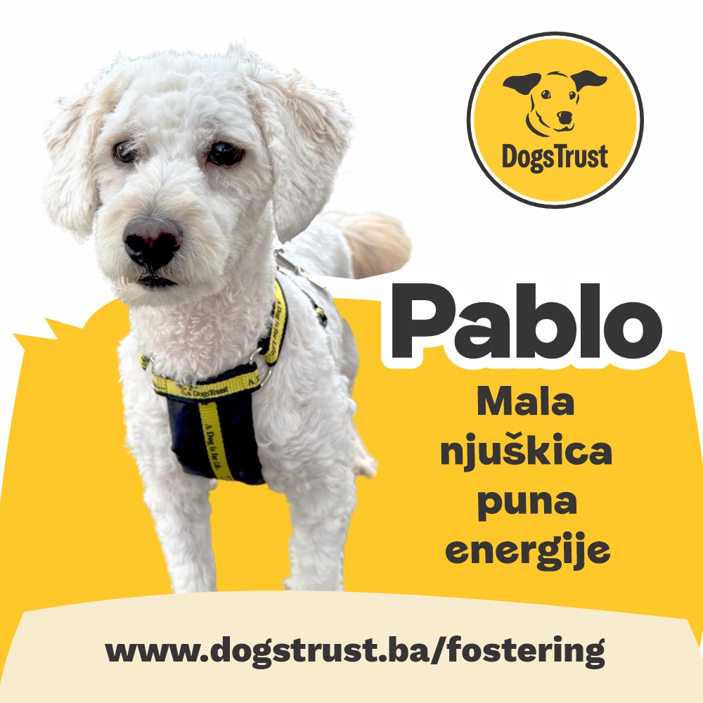 Pablo