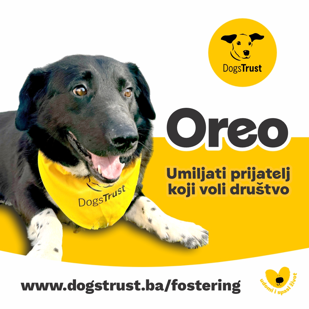 Oreo