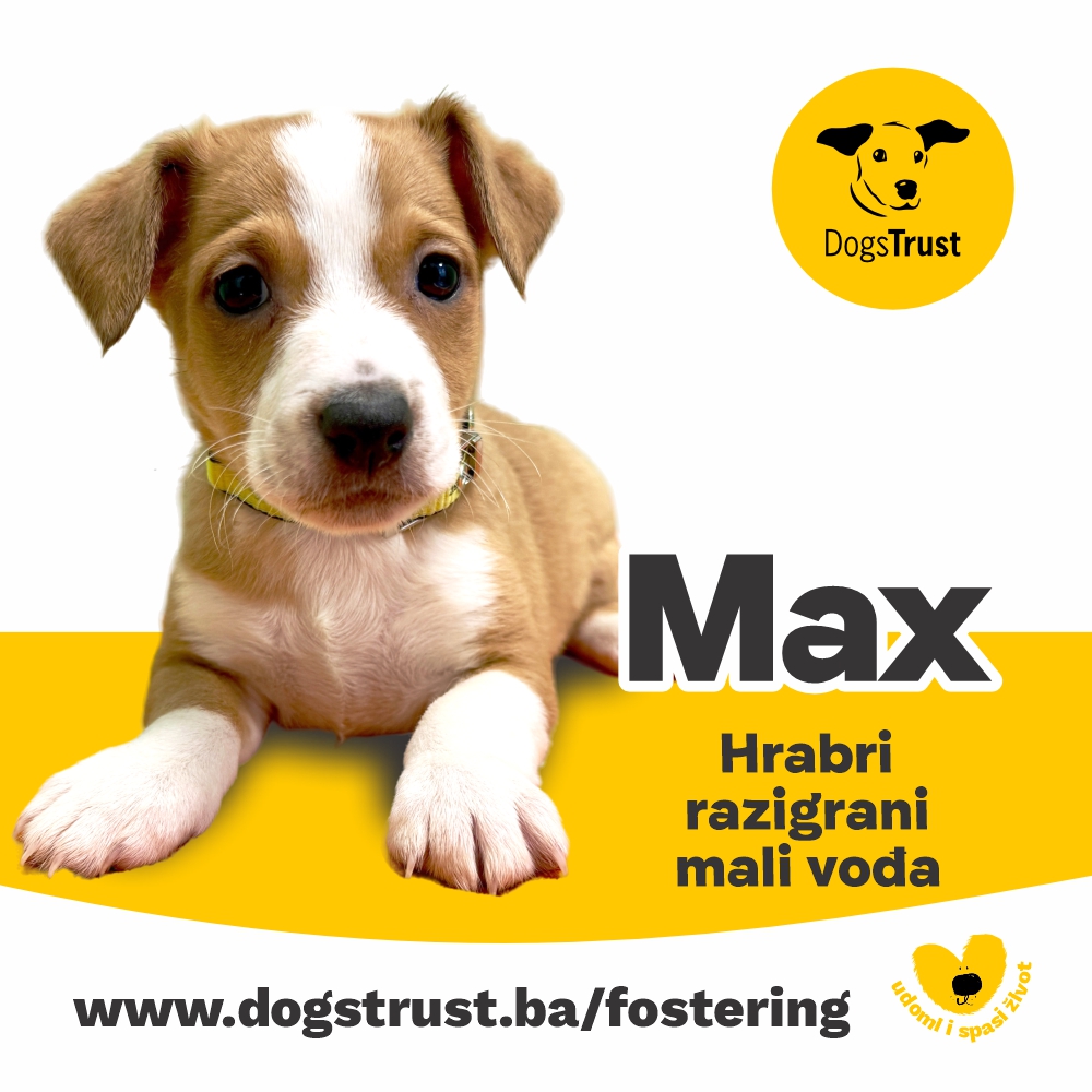 Max