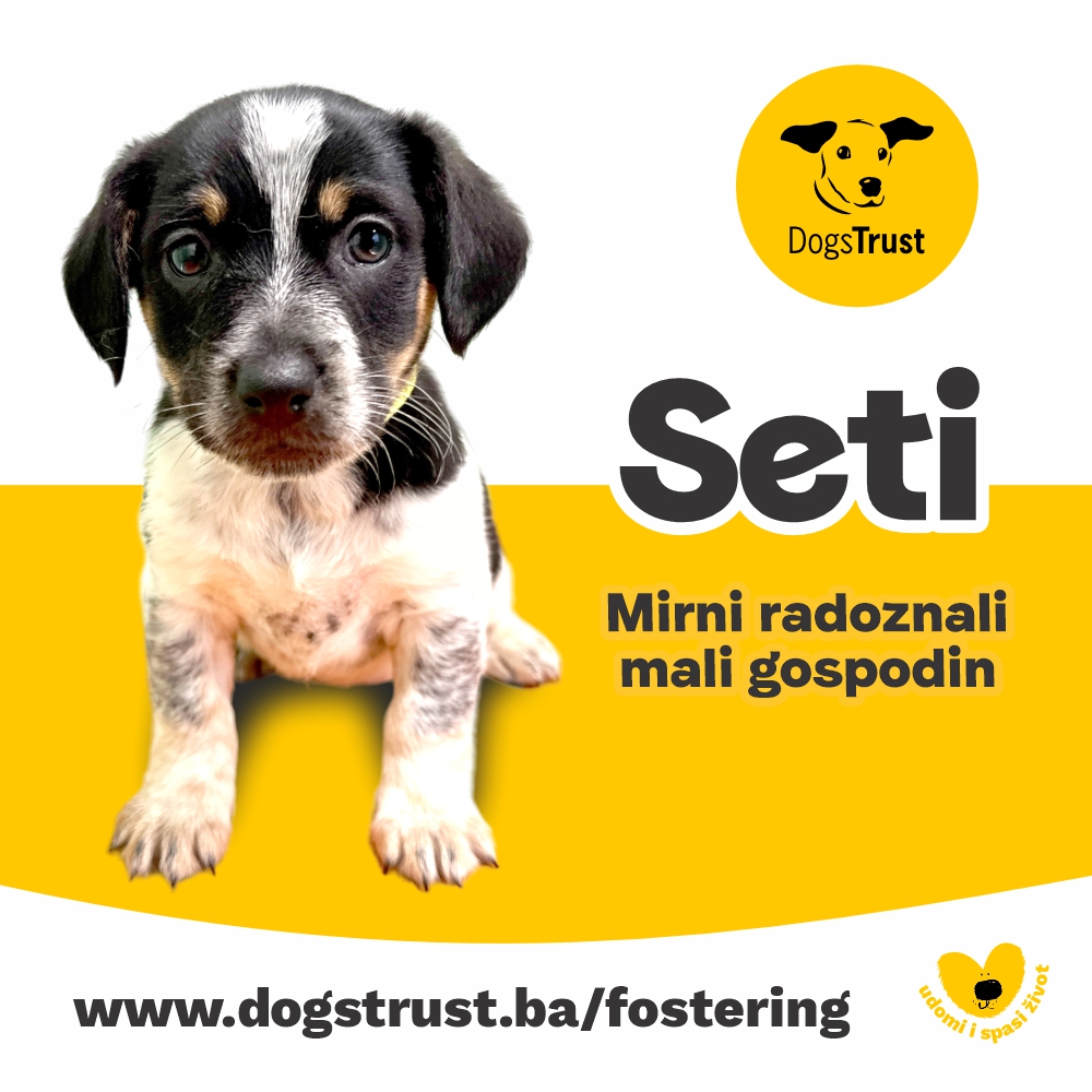 Seti