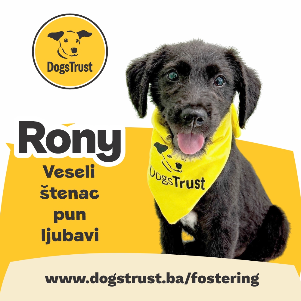 Rony