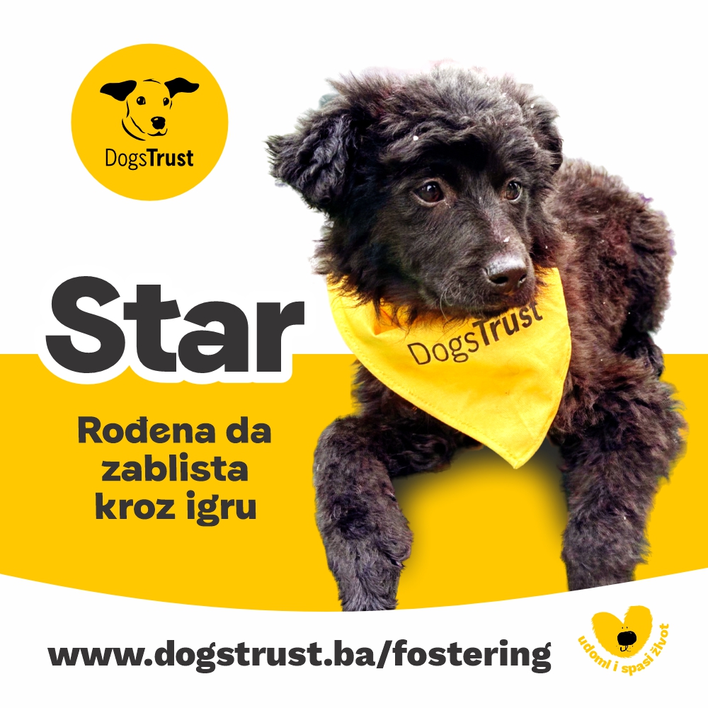 Star