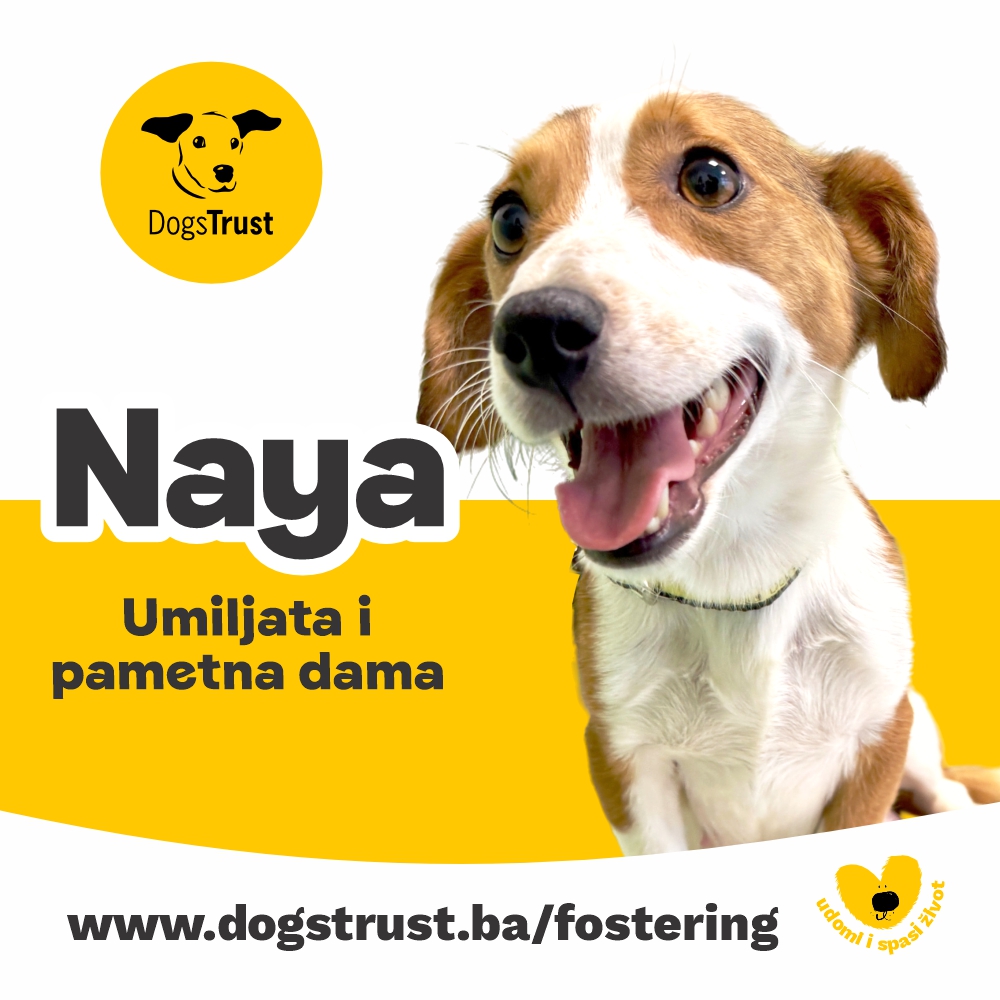 Naya