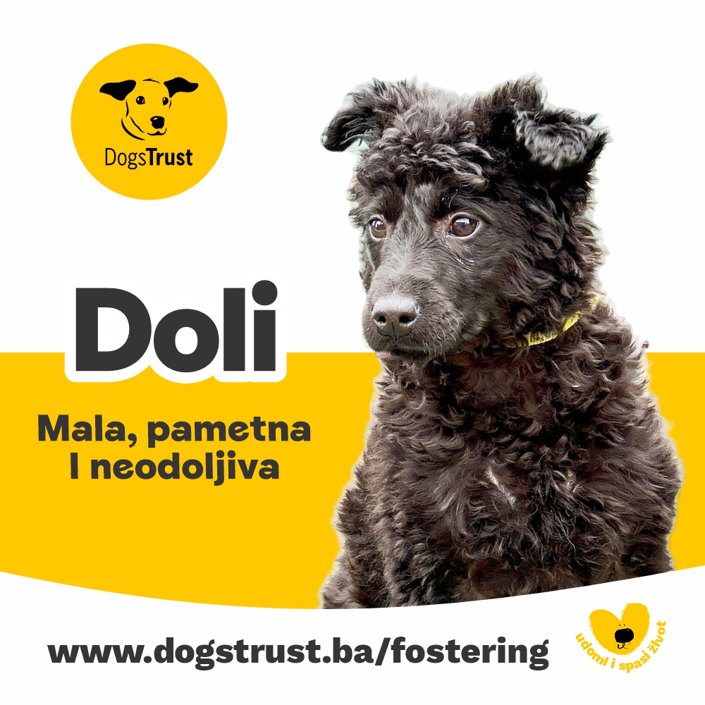 Doli