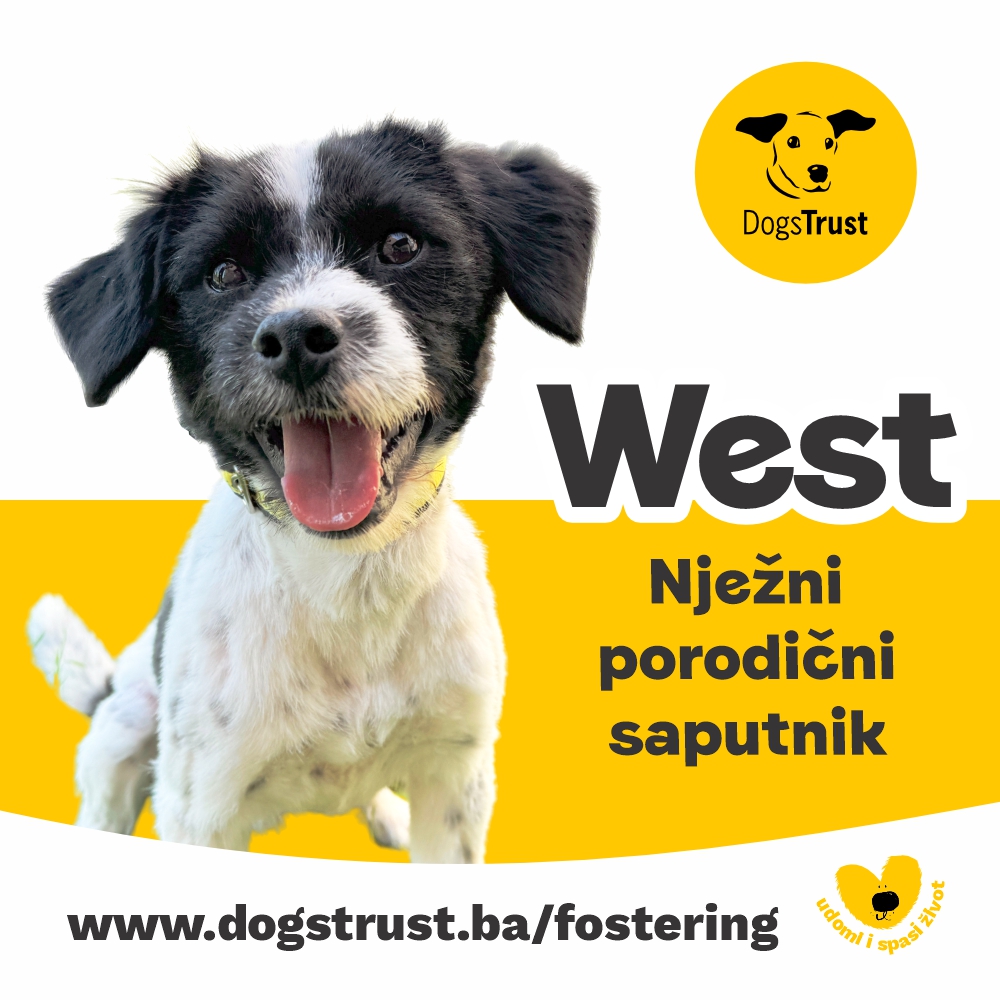 West