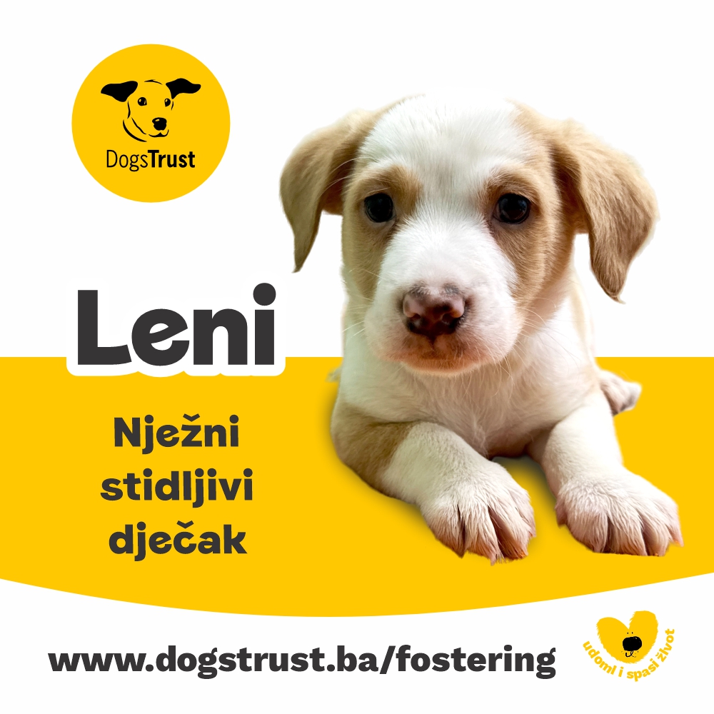 Leni