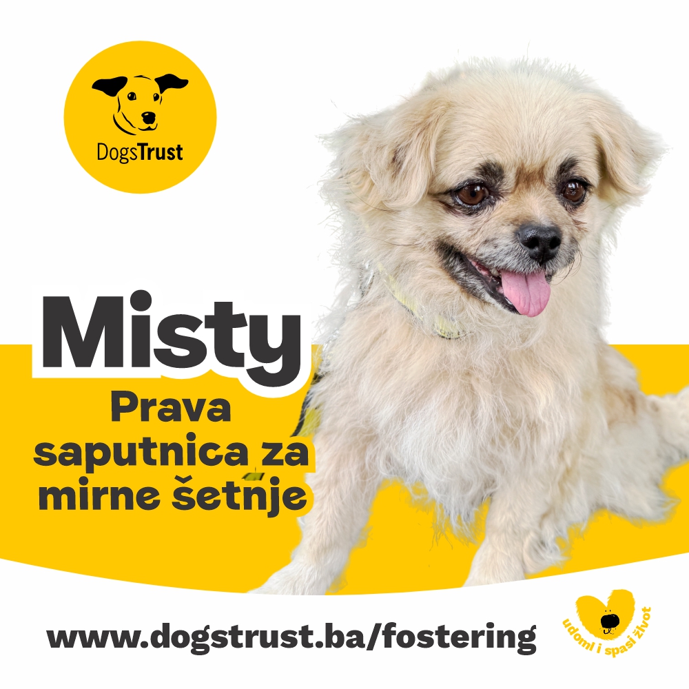 Misty