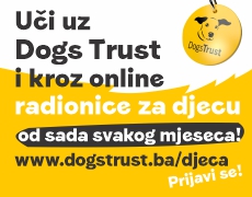Uči uz Dogs Trust - online radionice za djecu