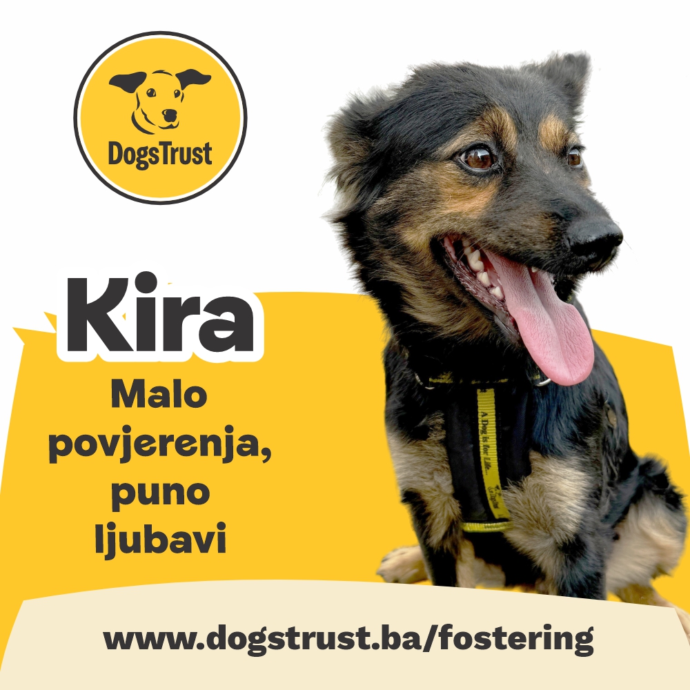 Kira