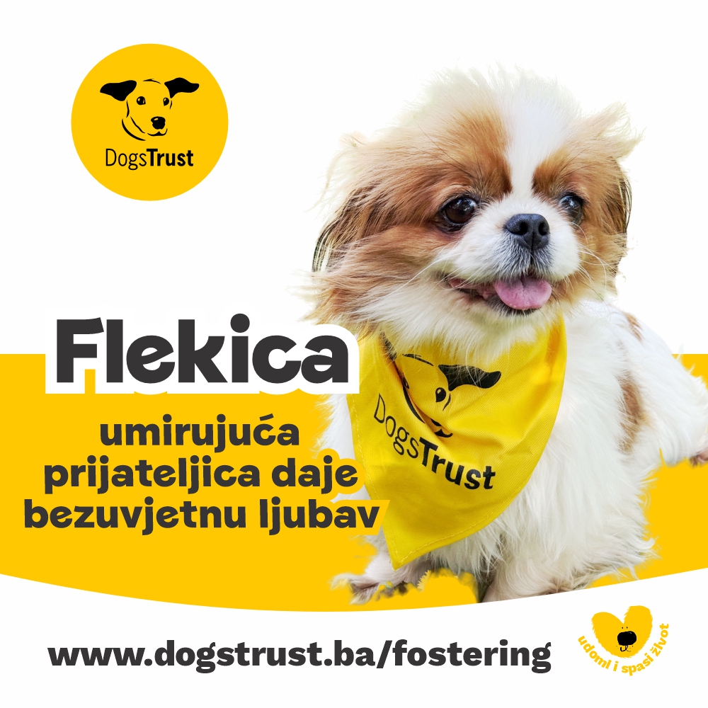 Flekica